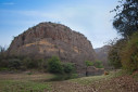 A male tiger in its typical habitat in Ranthambhore Tiger Reserve