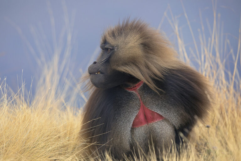 ETHIOPIA PHOTOGRAPHY TOUR