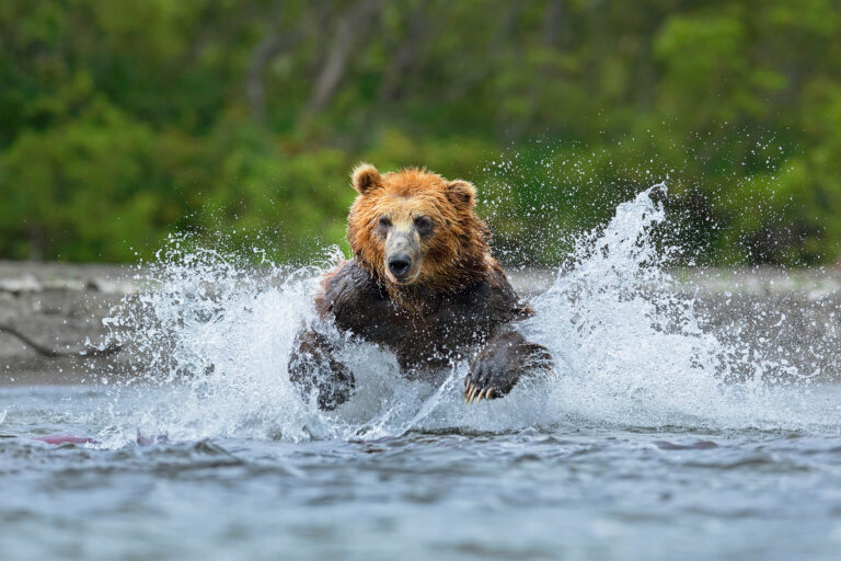 KAMCHATKA PHOTOGRAPHY TOUR