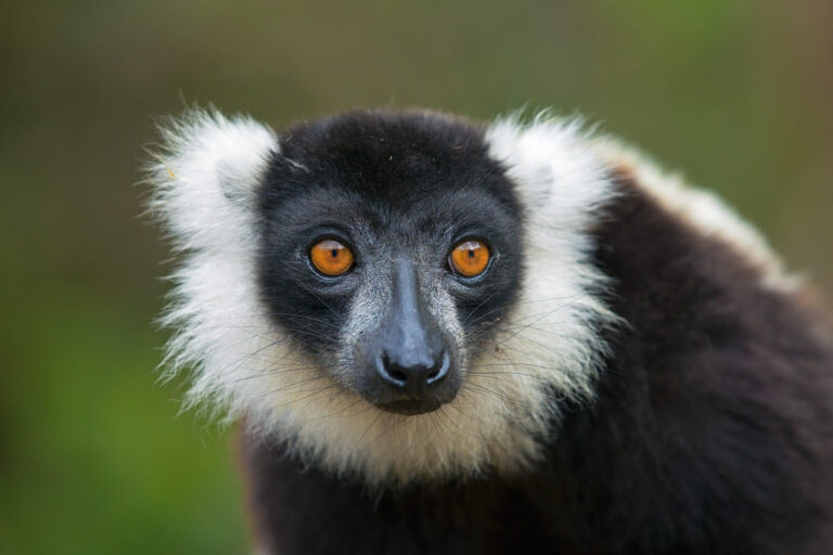 MADAGASCAR PHOTO TOUR